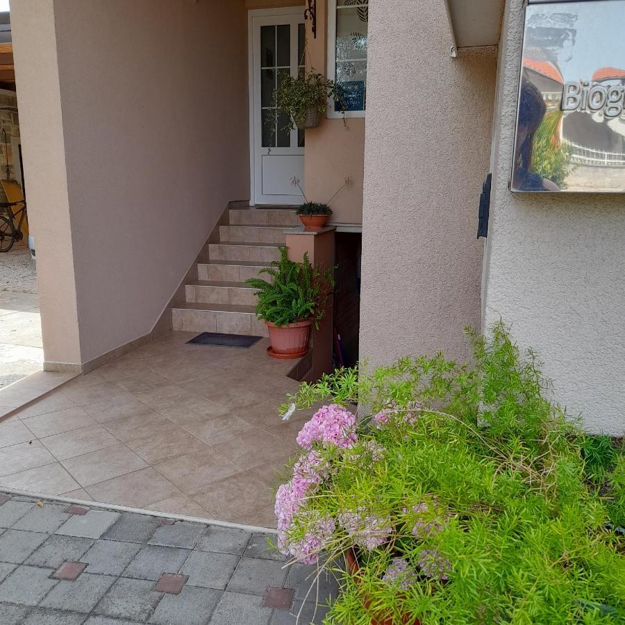 Apartment Filipovic Weißenburg