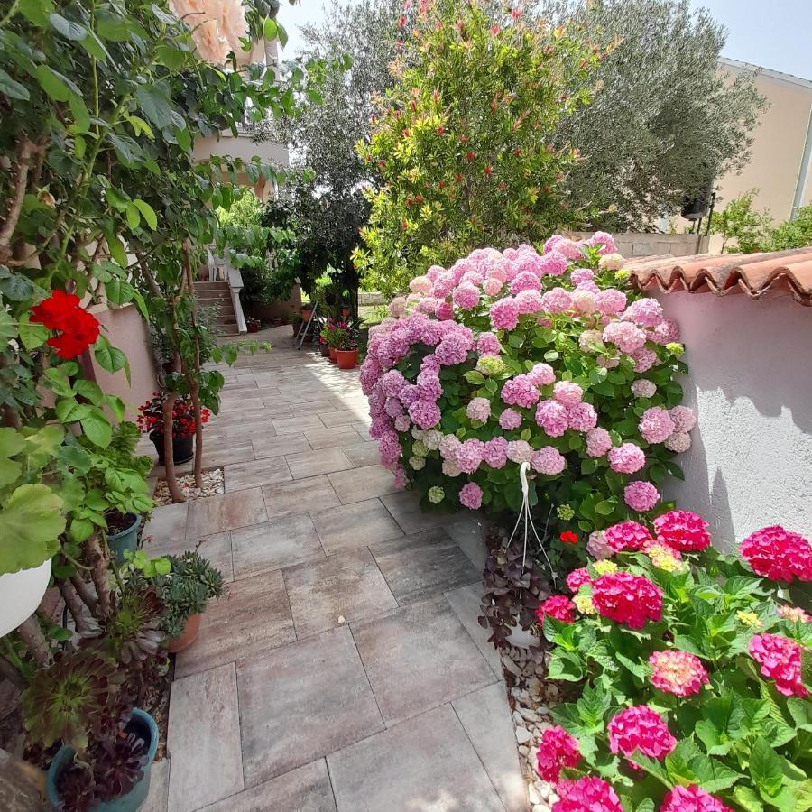 Filipovic Apartament Biograd Na Moru