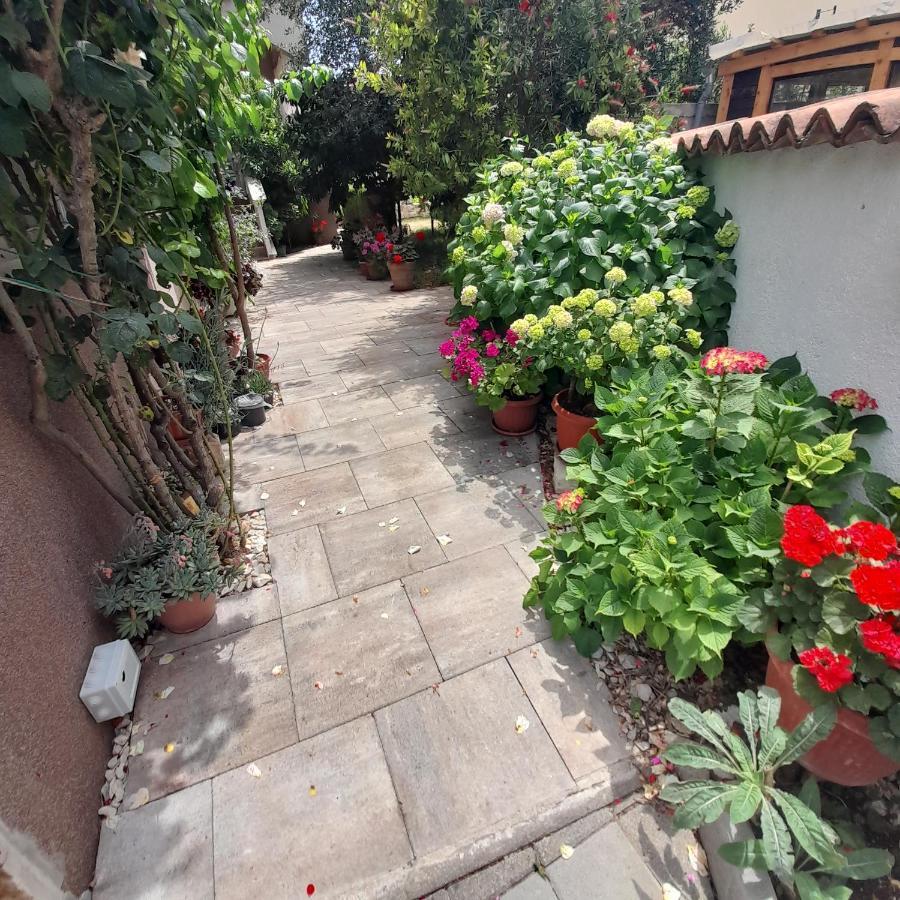 Filipovic Apartment *