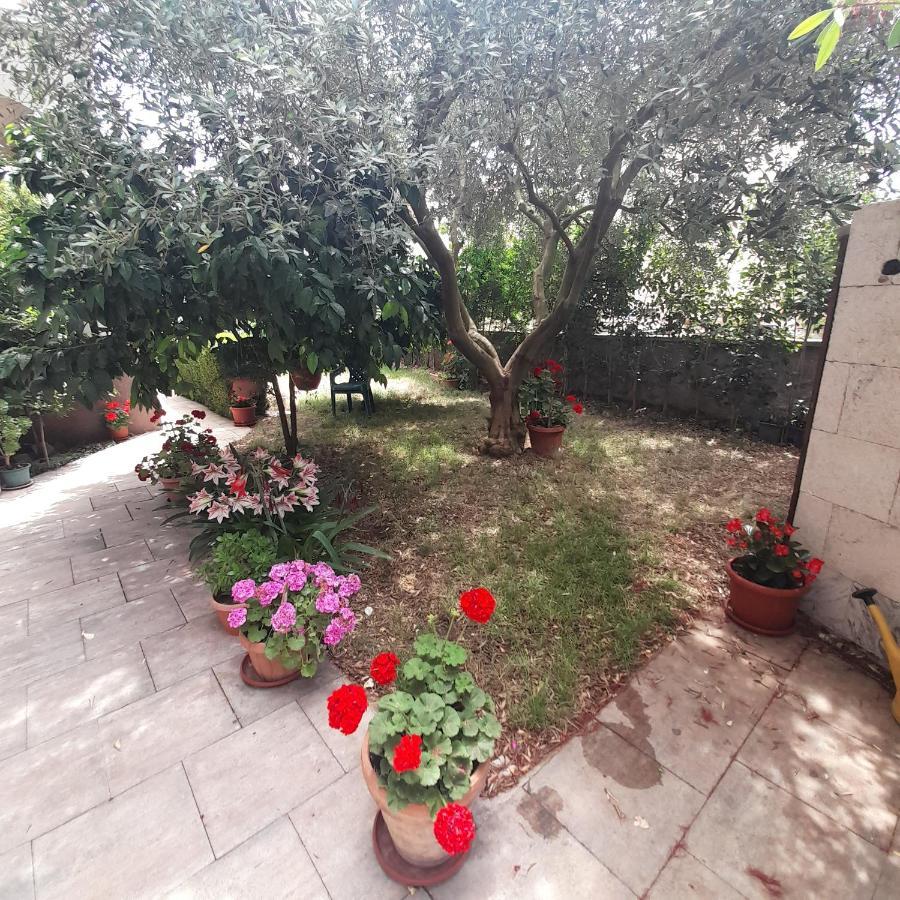 Filipovic Biograd Na Moru